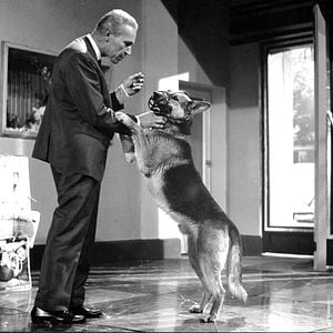 Bilder Die 1000 Augen des Dr. Mabuse