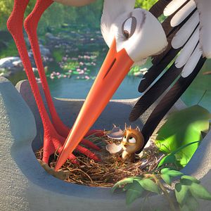 Bilder Überflieger - Kleine Vögel, großes Geklapper