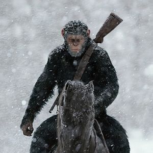 Bilder Planet der Affen 3: Survival