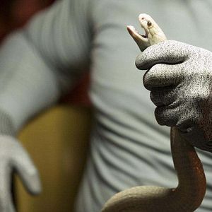 Bilder The Blacklist