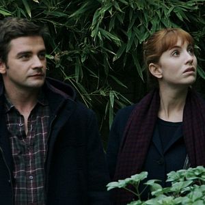 Bilder Drôles d'oiseaux