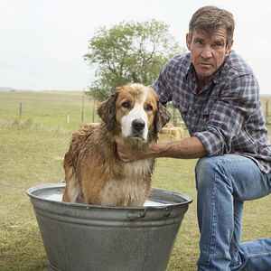 Bilder Dennis Quaid