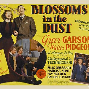 Bilder Blossoms in the Dust