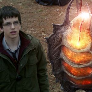 Bilder William McKenna