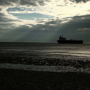 Bilder Zeitgeist Protest