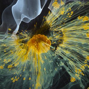 Bilder Voyage of Time: Life's Journey