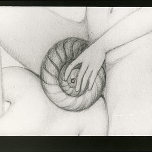 Bilder L’ Escargot de Vénus