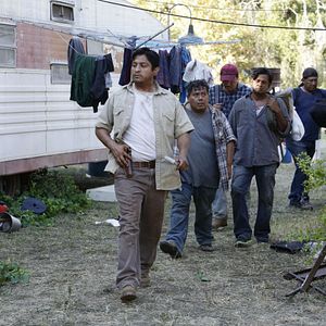 Bilder American Crime