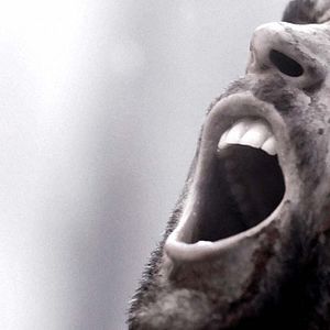 Bilder Sword Of Vengeance