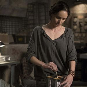 Bilder Sarah Wayne Callies