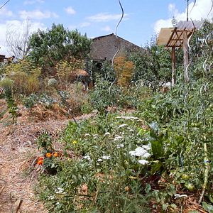Bilder L'éveil de la permaculture