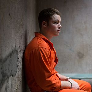 Bilder The Whole Truth - Lügenspiel