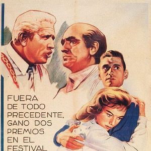 Bilder Wer den Wind sät