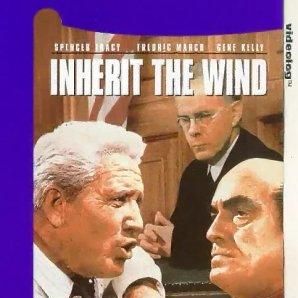 Bilder Wer den Wind sät