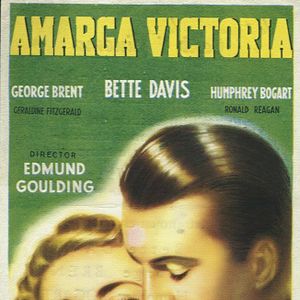 Bilder Opfer einer großen Liebe