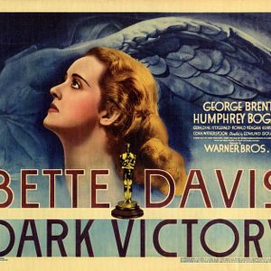 Bilder Opfer einer großen Liebe