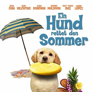 Bilder Ein Hund rettet den Sommer