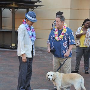 Bilder Ein Hund rettet den Sommer