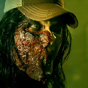 Bilder Wayne W. Johnson