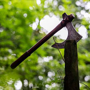 Bilder Viking Legacy