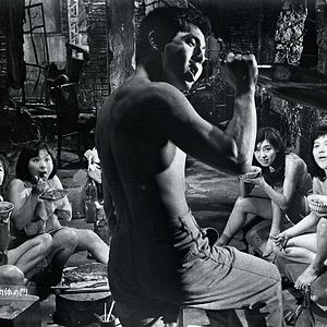 Bilder Nakito - Profis der Liebe