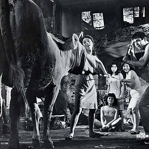 Bilder Nakito - Profis der Liebe