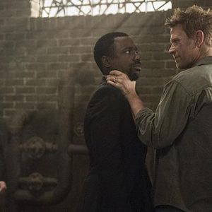 Bilder Paul Piaskowski