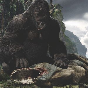 Bilder King Kong
