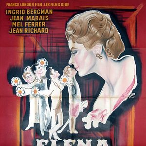 Bilder Weiße Margeriten