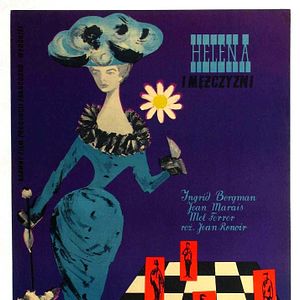 Bilder Weiße Margeriten