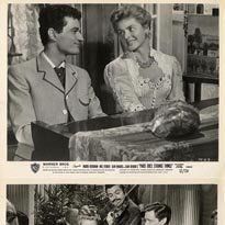 Bilder Weiße Margeriten