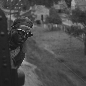 Bilder Bestie Mensch