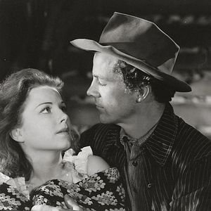 Bilder In den Sümpfen