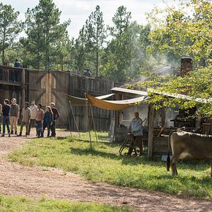 Bilder The Walking Dead