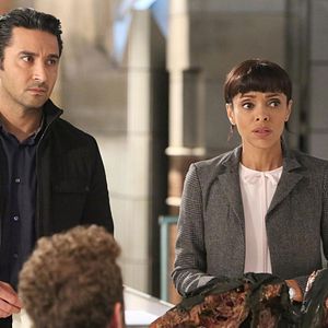 Bilder Tamara Taylor