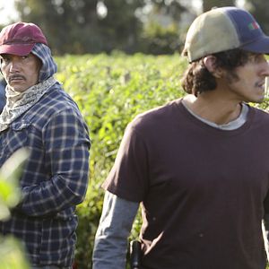 Bilder American Crime