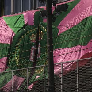 Bilder Memória em Verde e Rosa