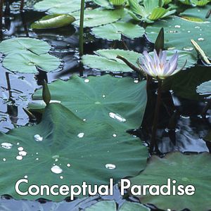 Bilder Conceptual Paradise