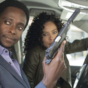 Bilder Tawny Cypress