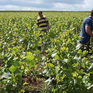 Bilder Jean-Marc Roulot