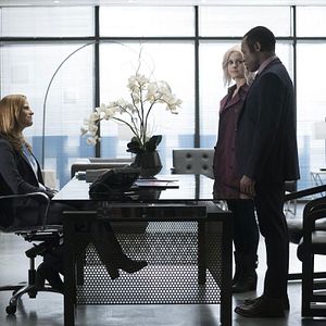 Bilder Malcolm Goodwin