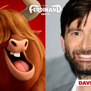 Bilder Ferdinand - Geht STIERisch ab!