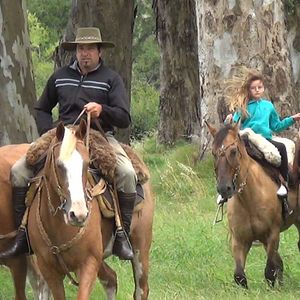 Bilder Le Cri des fourmis