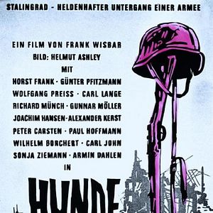 Bilder Hunde, wollt ihr ewig leben?