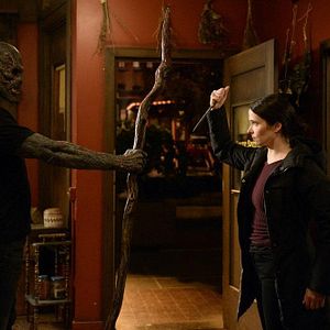 Bilder Elizabeth Tulloch