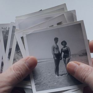 Bilder Los pájaros no tienen vértigo