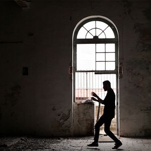 Bilder Los pájaros no tienen vértigo