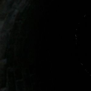 Bilder Los pájaros no tienen vértigo