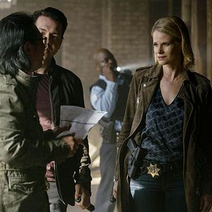 Bilder Joelle Carter