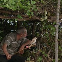 Bilder Paçi: Av Sanatı